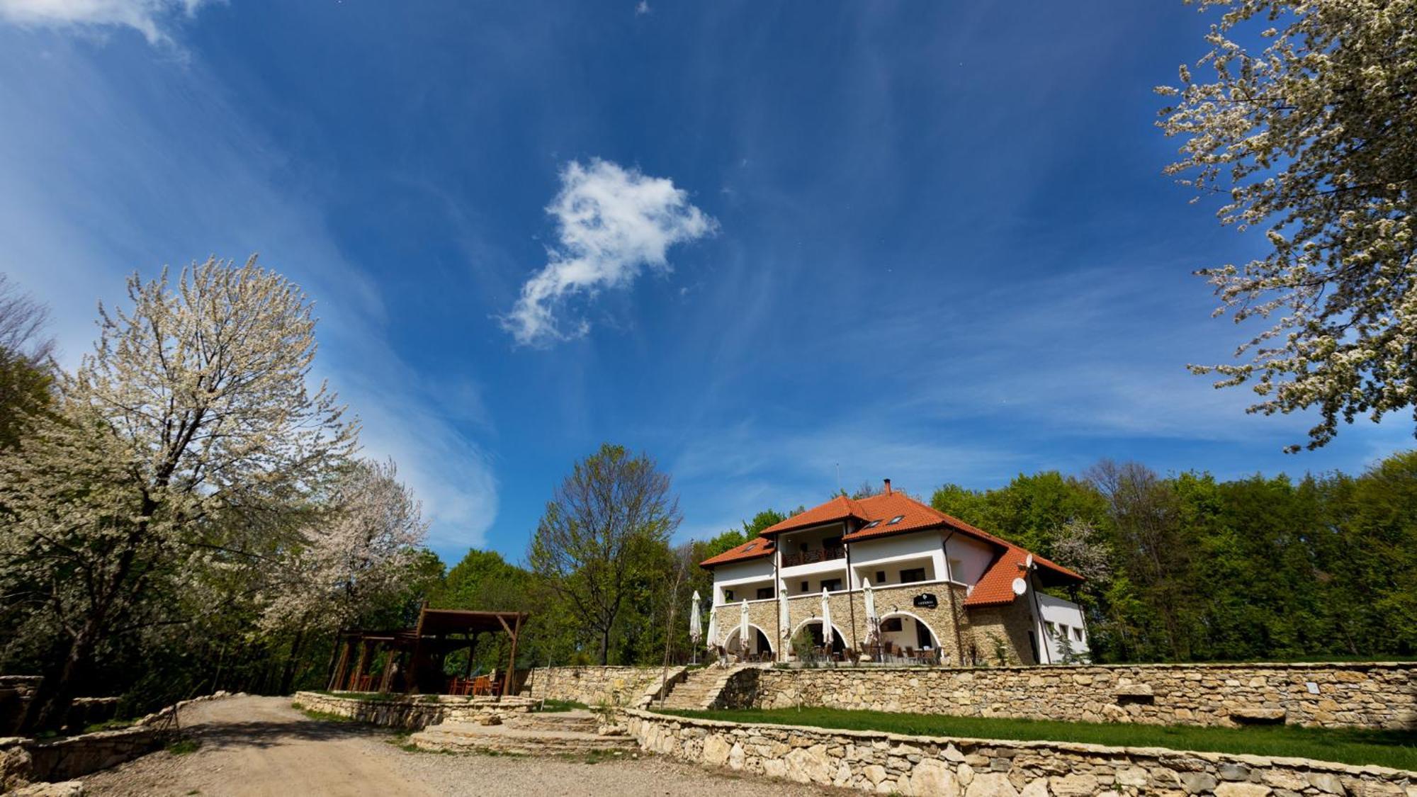 Cetatuia Hotel Magura  Exterior foto